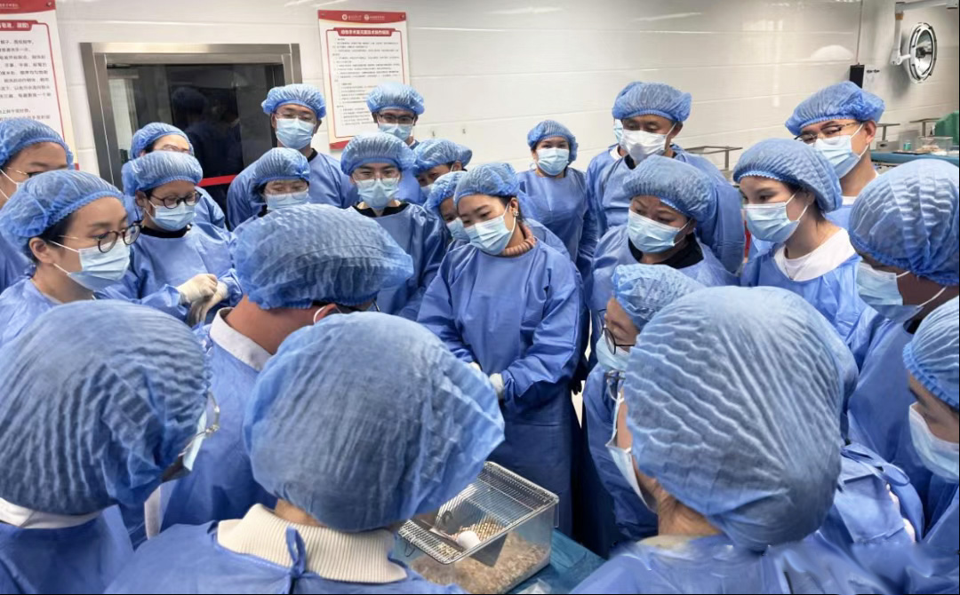 2025年海南省实验动物技术培训成功举办