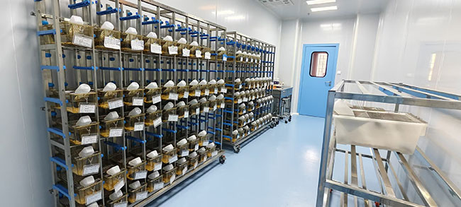 海南动物实验科技服务平台SPF级动物实验室 海南动物实验科技服务平台SPF级动物实验室