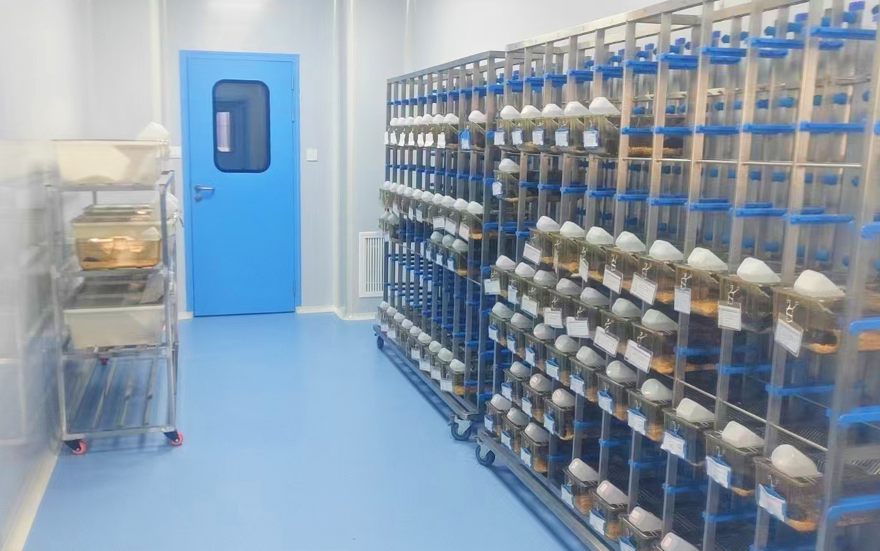 SPF级动物实验平台