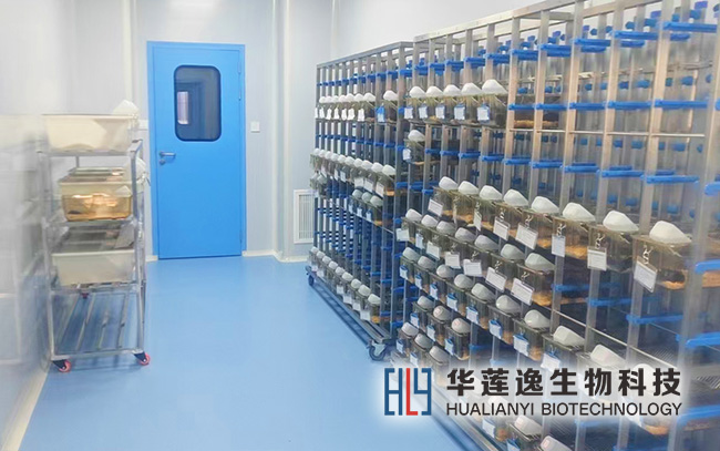 SPF 级动物实验室 SPF 级动物实验室