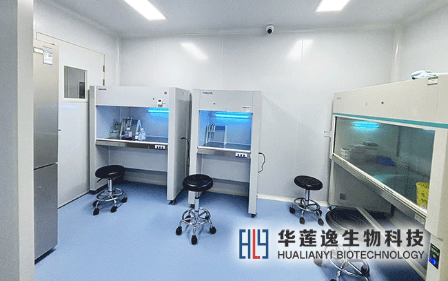 细胞实验室 细胞实验室