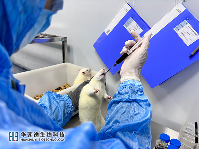 大小鼠灌胃给药 大小鼠灌胃给药